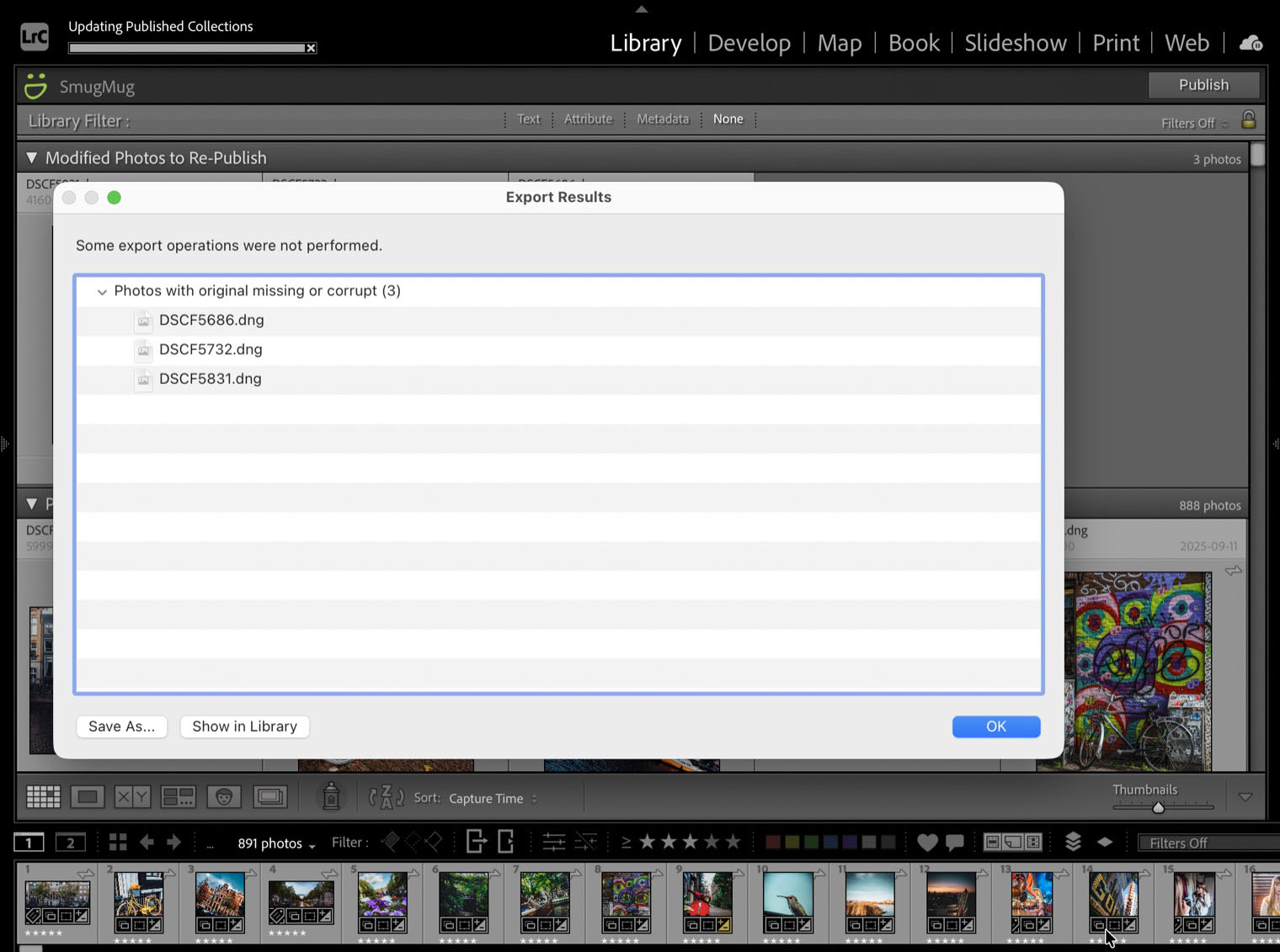 Lightroom's Export Results dialog during a SmugMug publish, reading