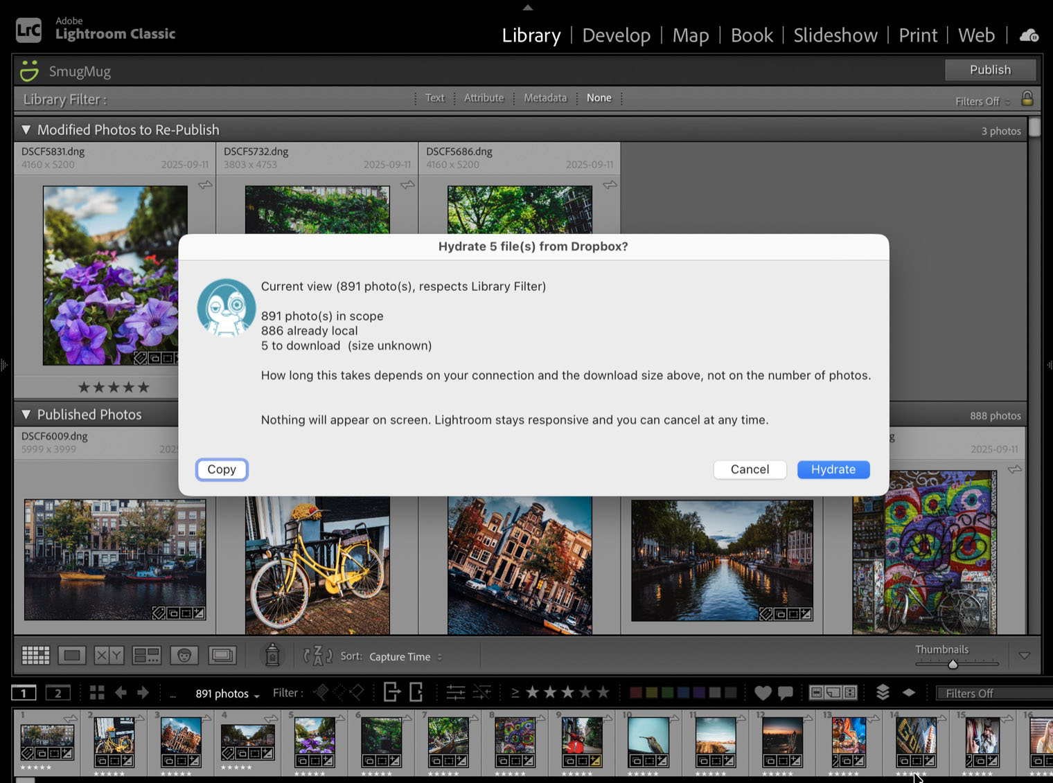 The confirmation dialog: 891 photos in scope, 886 already local, 5 to download, with a note that nothing will appear on screen