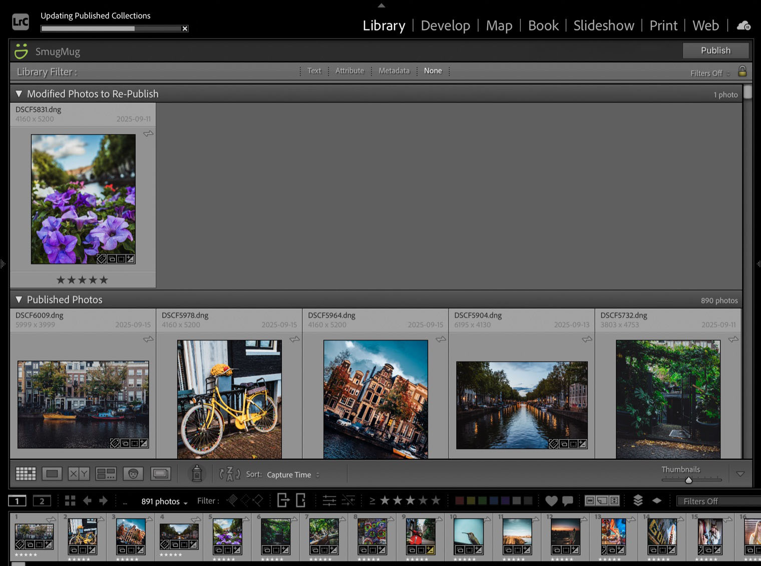 The same publish collection after hydrating, with the photos published rather than skipped